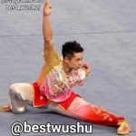 Bestwushu