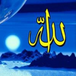 گالری اسلامی