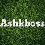 ashkboss
