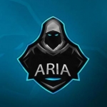 ARIA.gamer