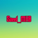 Saeed_MHB66