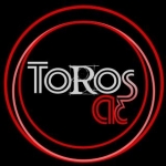 Toros3D