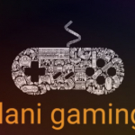 dani gaming