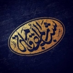 shabab_almoqawama