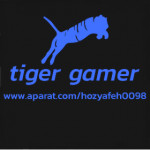 tiger gamer