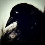 CROW