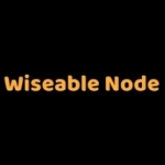 وایزبل نود (Wiseable Node)