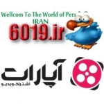 6019 تخصصی ترین سایت در ایران