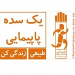 یک سده پاپیمایی