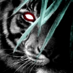 Black Tiger