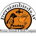 persianbirds