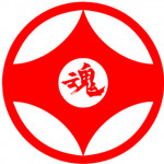 سازمان جهانی هون کیوکوشین