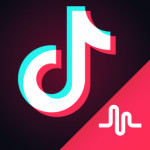 musicaly_tiktok