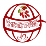 barberryexport.ir