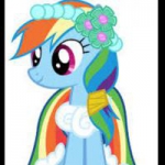 rainbow dash