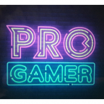 PRO GAMER