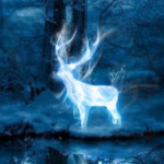 patronus256