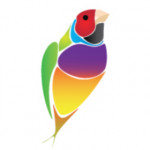 iranzamin_gouldian