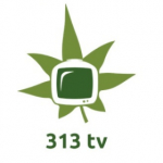 313tv