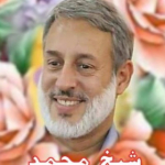 شیخ محمد صالح پردل