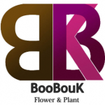 BooBouk media