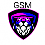 GSM