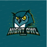 NightOwlGaming