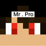 Mr. Pro