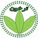 علی عصاری