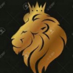 (فالو=فالو)Royal Lion