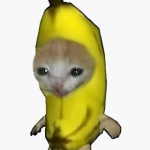 banana cat | گربه موزی