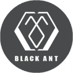 Studio Black Ant