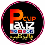 Palizclip