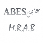 ABES_MohammadrezaAhmadi