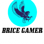 BRICE GAMER