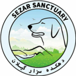 Sezarsanctuary