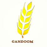 Gandoom.com