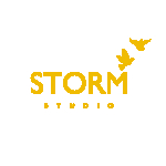 StormStudio.ir