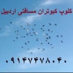 کلوپ کبوتران مسافتی اردبیل