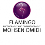 FLAMINGO_MOHSEN OMIDI