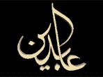 سید مجتبی