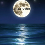 tanaz_oven