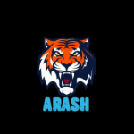 ARASH GAMING