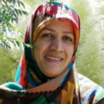 دایره المعارف سوزندوزی ایرانی دکتر مریم سماک
