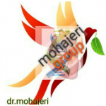 dr_mohajeri_group