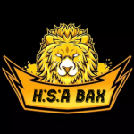 HOSSEIN H.S.A bax ⭐