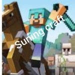 suning craft