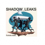 SHADOW_LEAKS