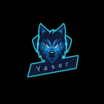 yaser landee_YT