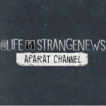 lifeisstrangenews